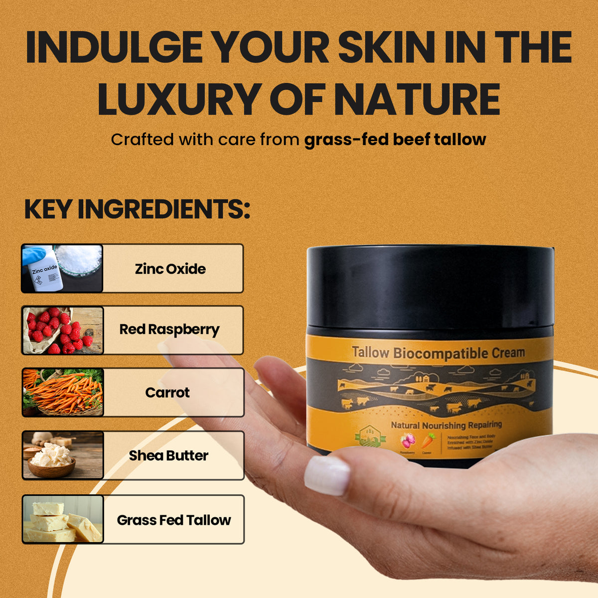 Tallow biocompatible cream jar with key ingredients on a beige background. Key ingredients in Wholly Kaw tallow cream: non-nano zinc oxide, red raspberry, carrot, shea butter, and grass-fed tallow